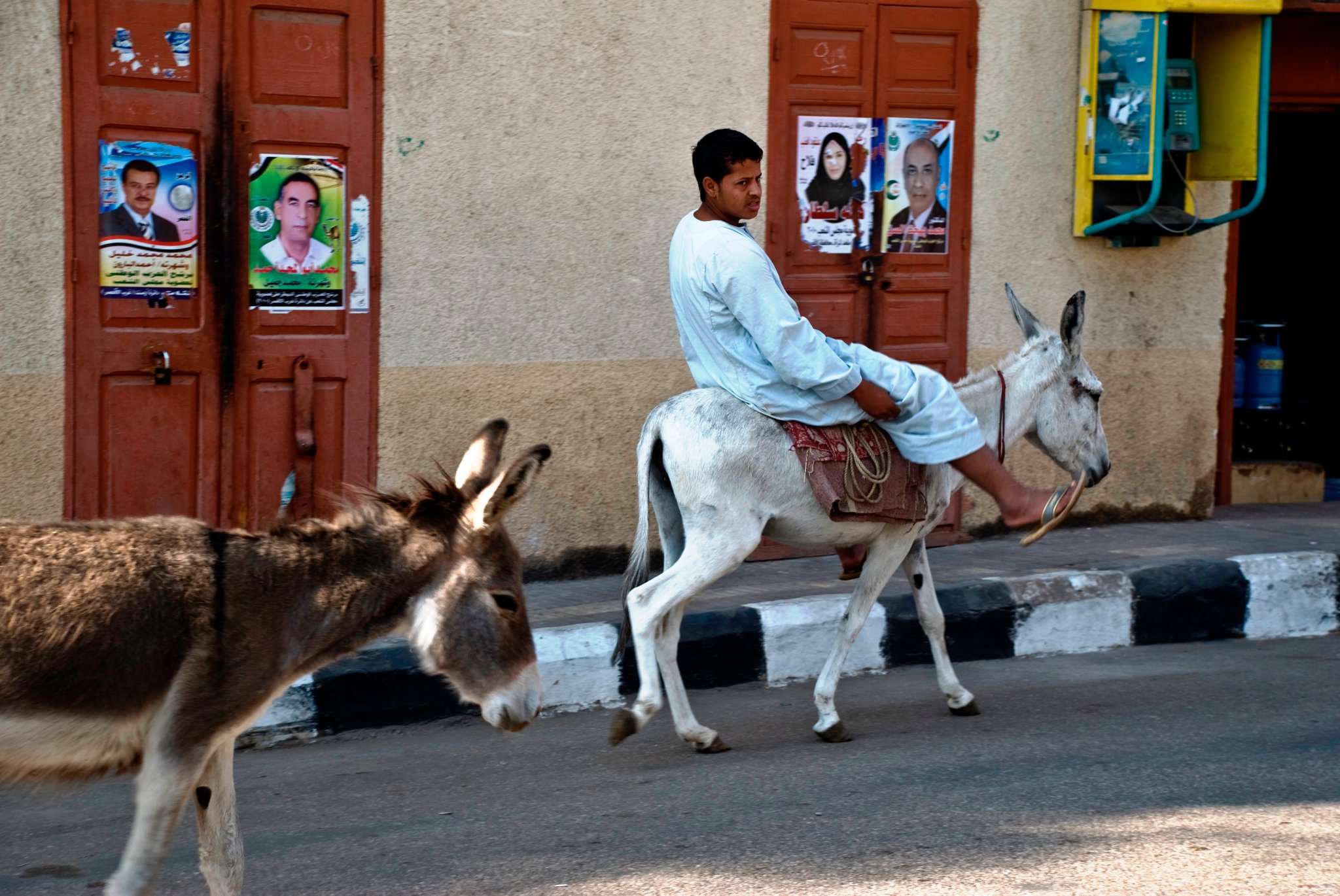 Man Riding Donkey Egypt Street