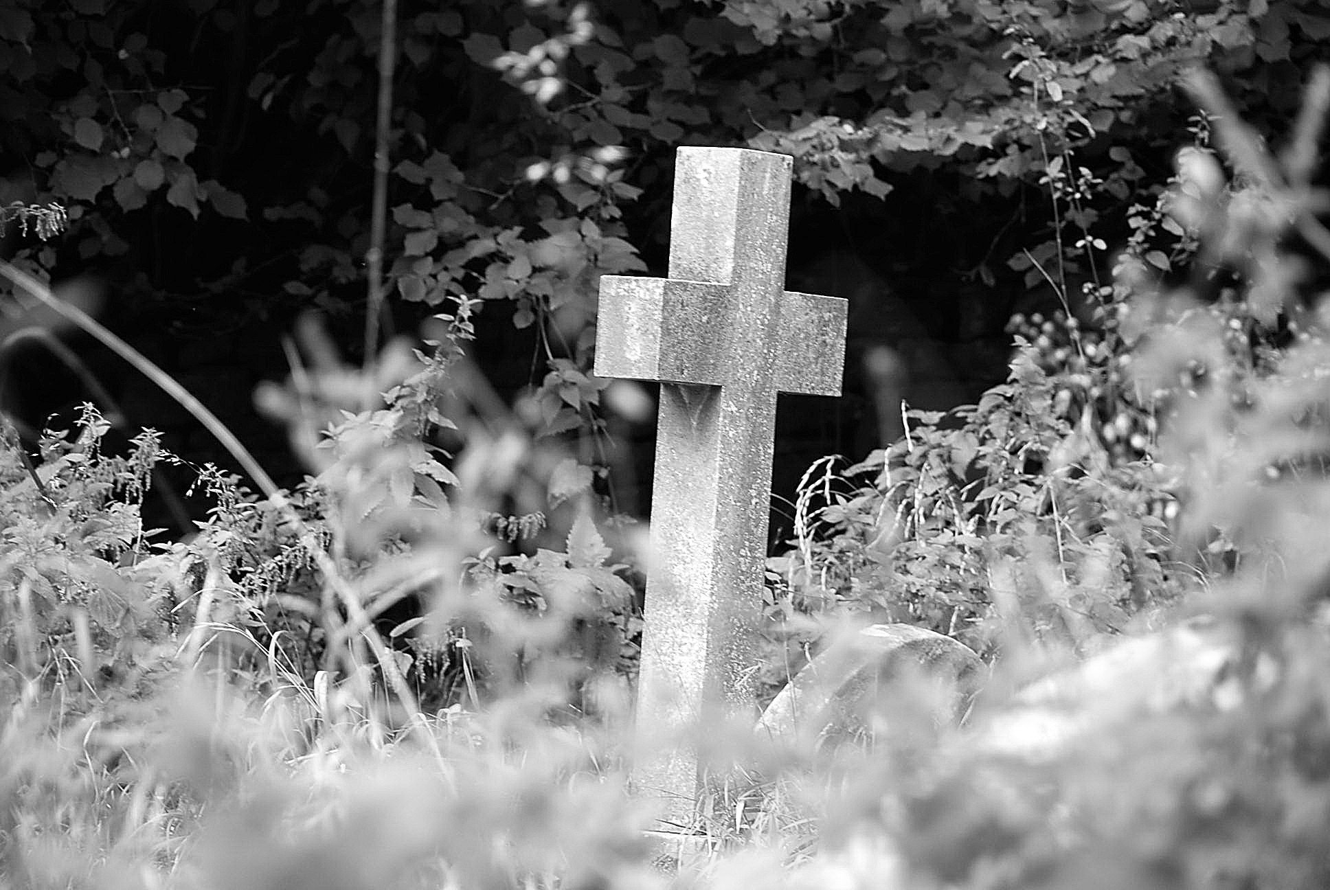 Stone Cross in Overgrown Churchyard