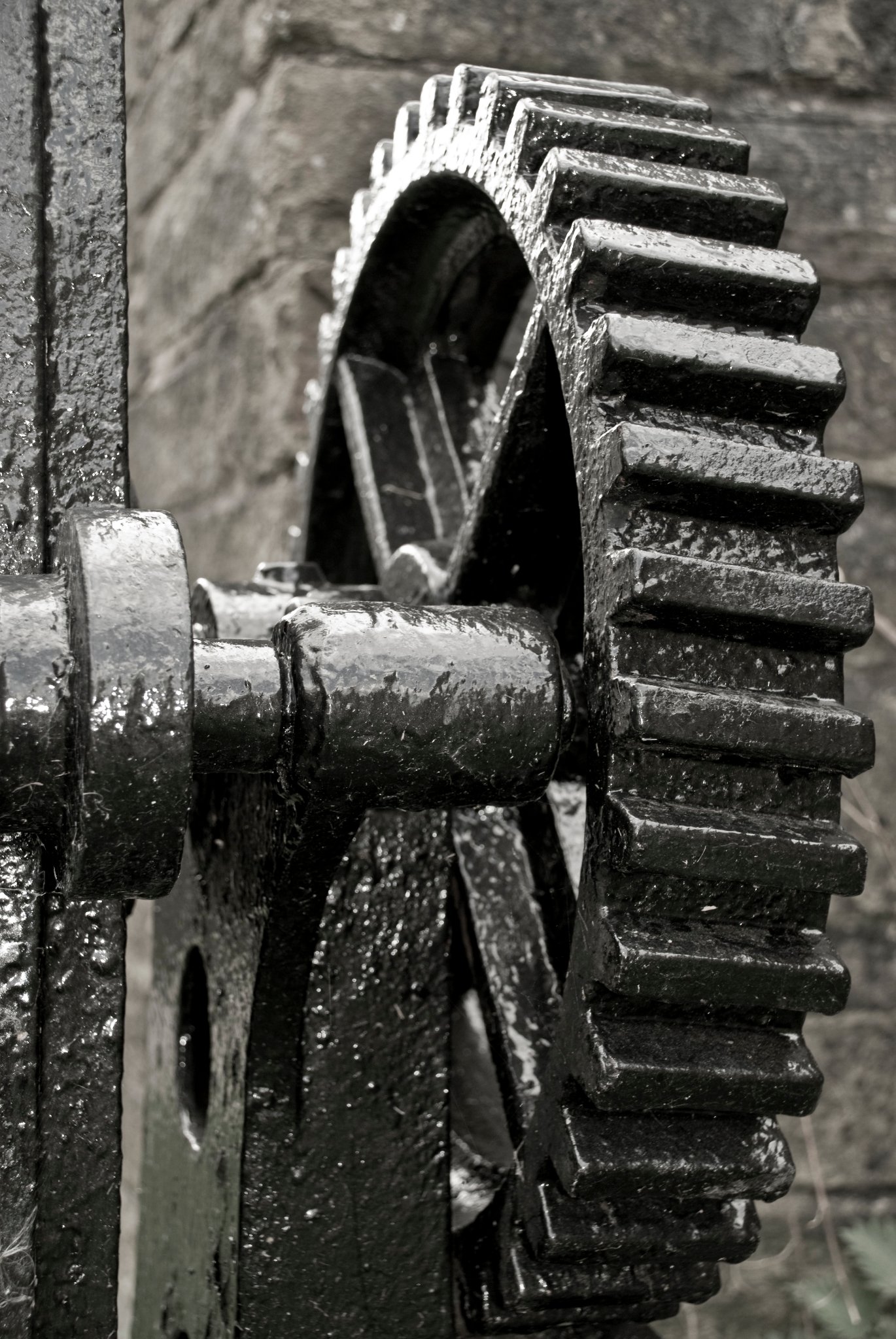 Industrial Gear Wheel